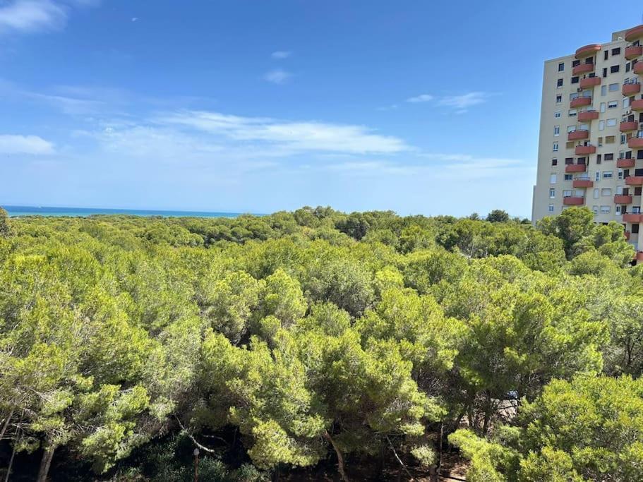 Elegante Apartamento Con Piscina En El Saler Valencia Exterior foto